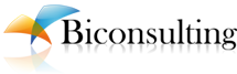 Logo de BICONSULTING