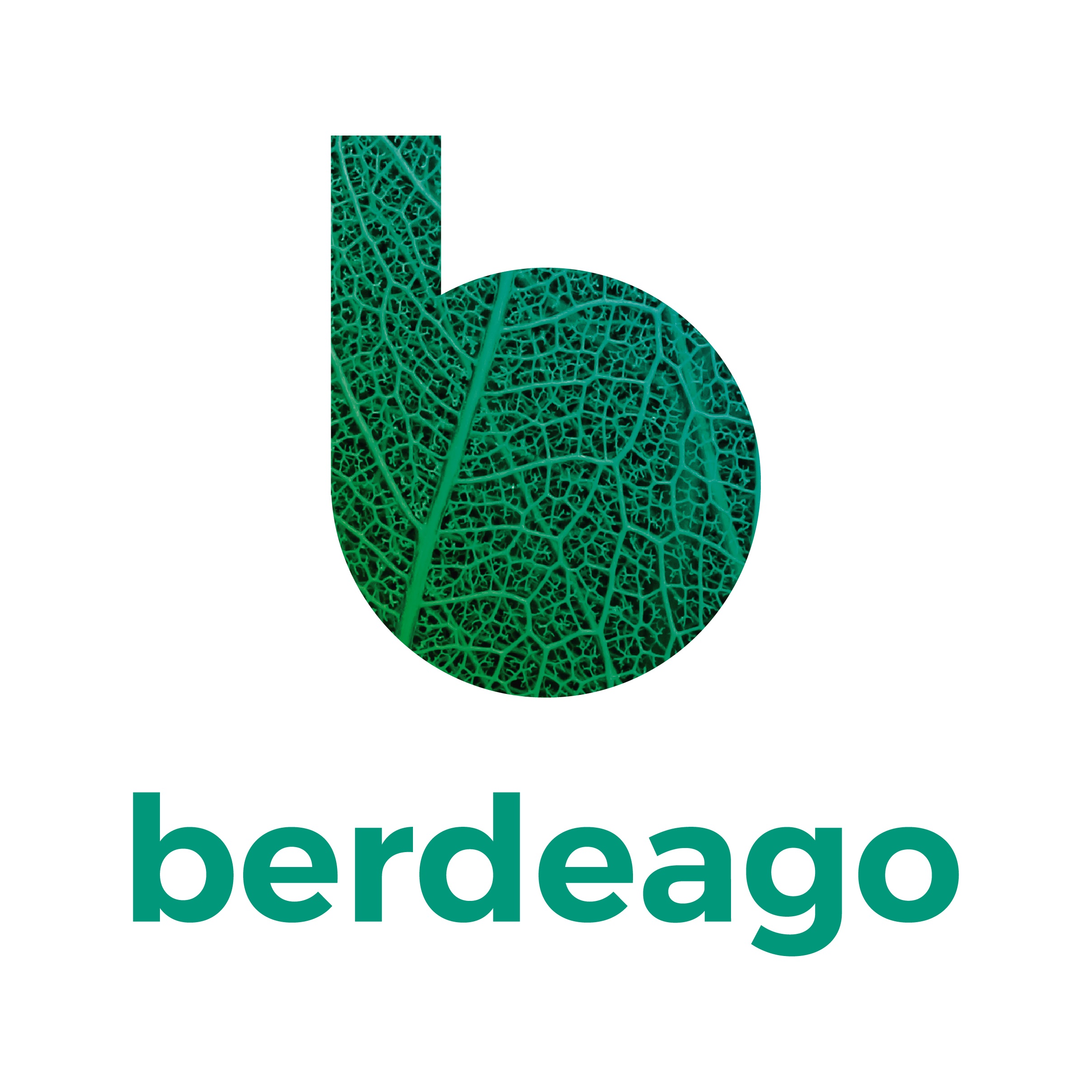 Logo de BERDEAGO, Asociación Europea para la Sostenibilidad